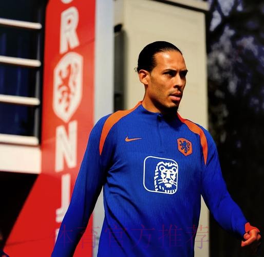 世界杯荷兰凯恩阵容解析完整指南