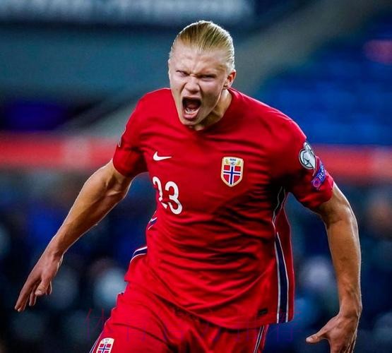 最新世界杯克罗地亚哈兰德比赛解读深度解读 最新世界杯克罗地亚哈兰德比赛解读深度解读